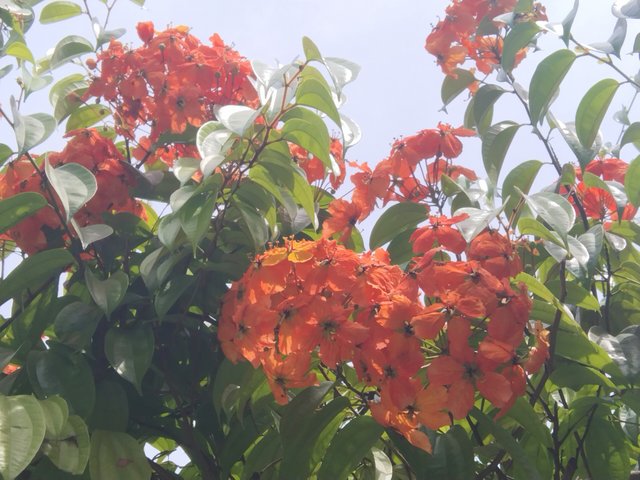 IMG_20250601_122353.jpg