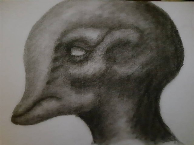 20250616_110636.jpg