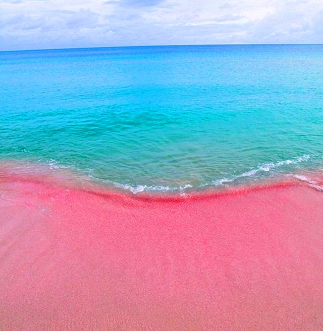 Barbuda_Pink+Sand+Beach.jpg