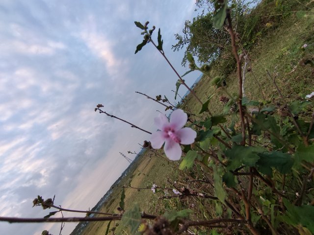 1000101737.jpg