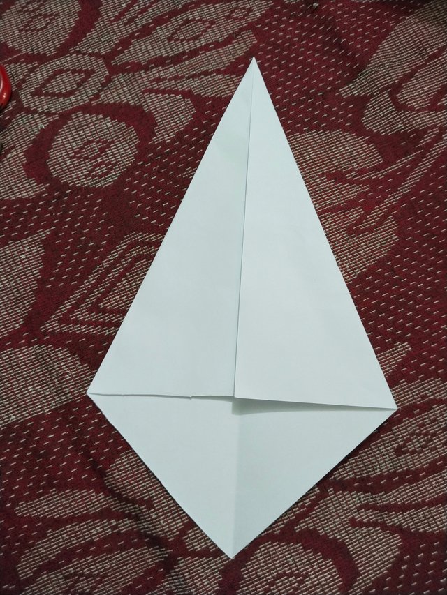 1000014436.jpg