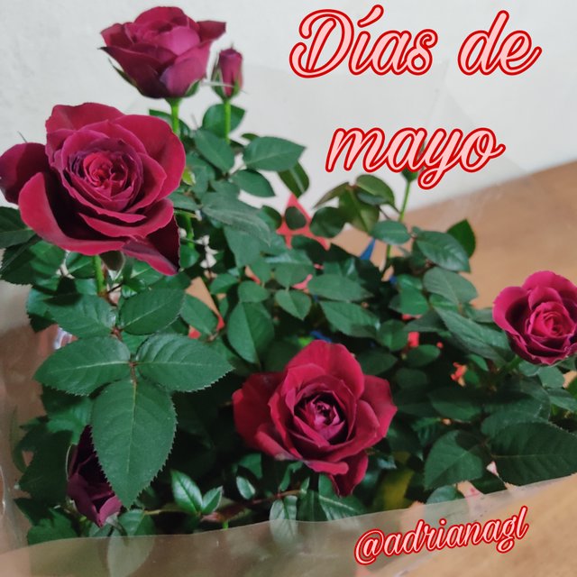 Picsart_25-05-07_09-12-07-839.jpg