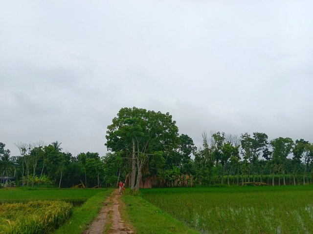 IMG_20250809_065845.jpg