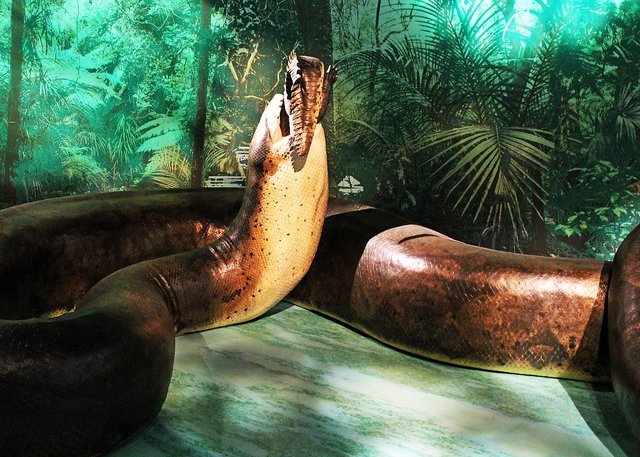 Titanoboa.jpg