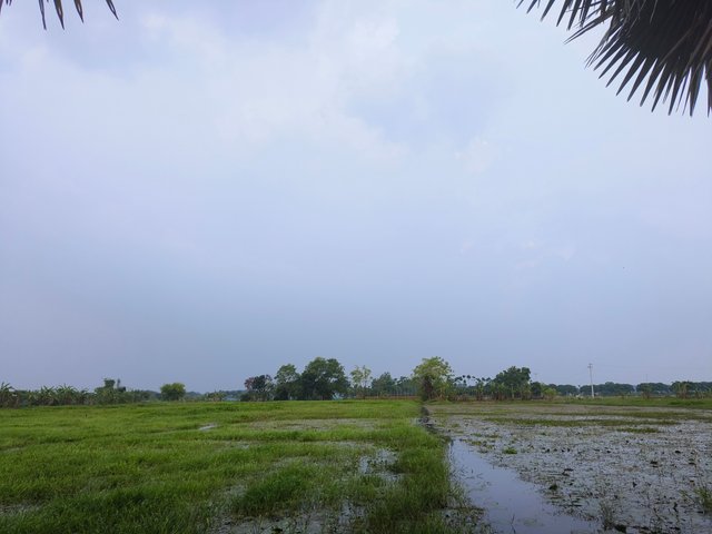 1000157898.jpg