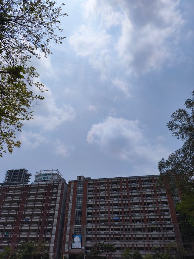IMG_20250427_120215.jpg
