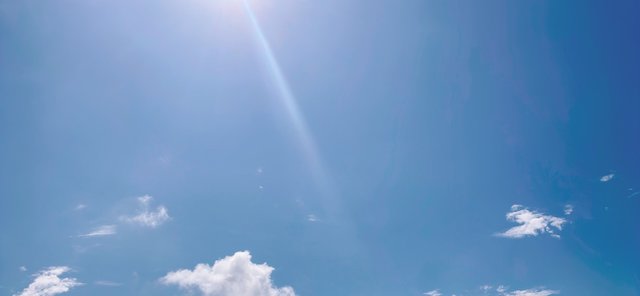 KakaoTalk_20250705_195954471.jpg