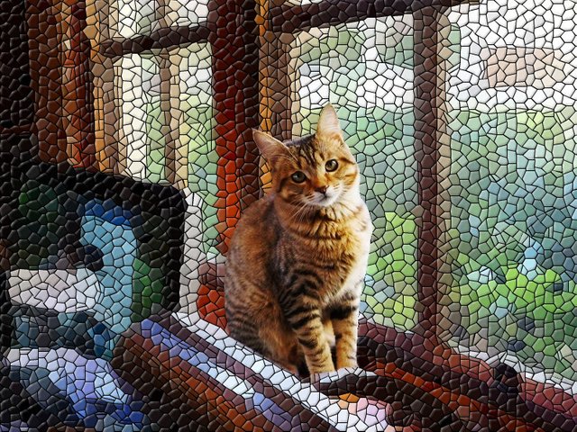 gato al mosaico 1.jpg