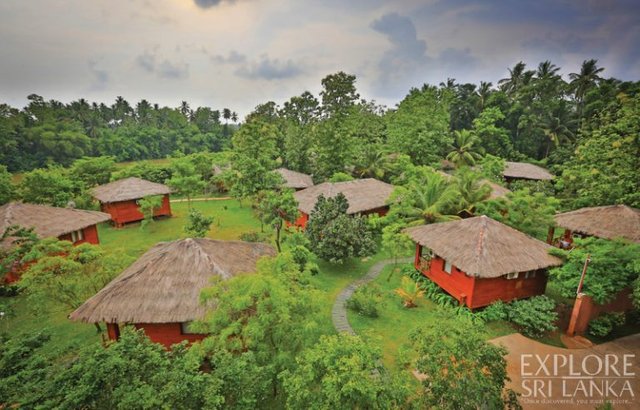 Karunakarala Ayurveda Spa and Resort nestled amidst lush greenery.jpg