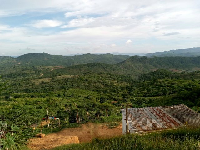 IMG_20250731_172741_660-01.jpeg