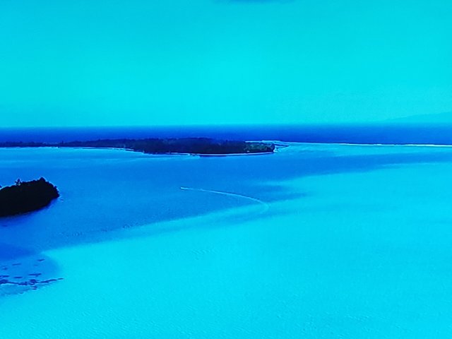 1000020184.jpg