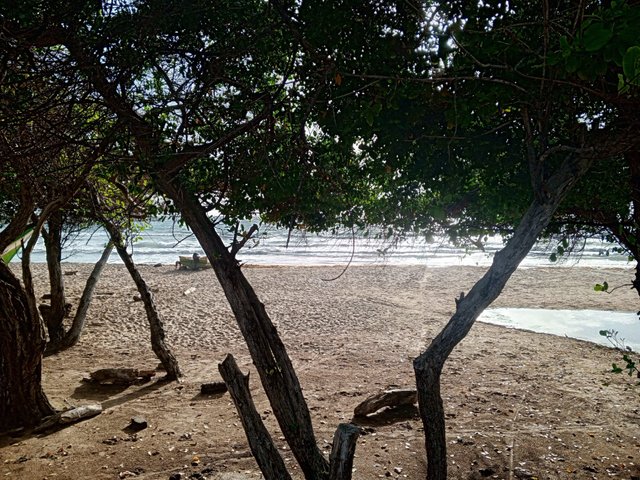 IMG-20250518-WA0002.jpg