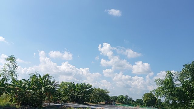 IMG_20240829_145537_1.jpg