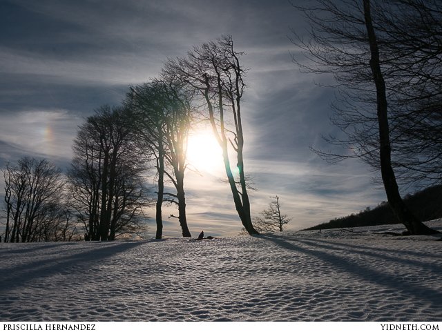 snow fairy winter  - by priscilla Hernandez (yidneth.com).jpg