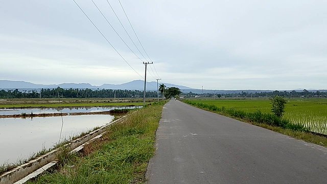 IMG_20250824_085555.jpg