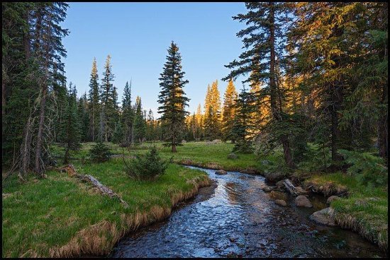 views-of-pinetop-az.jpg