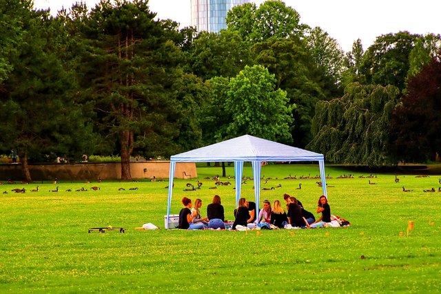 picnic-7100519_1280.jpg