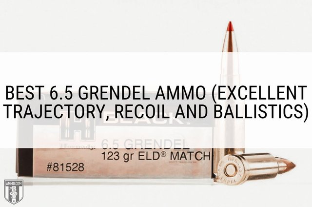 best-6.5-grendel-ammo-hero-image.jpg