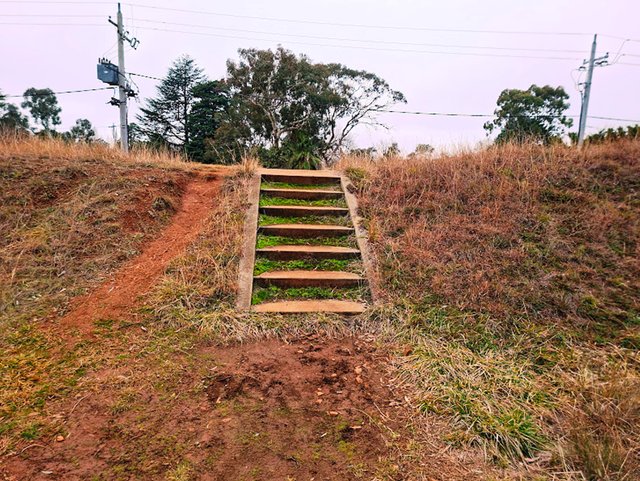 20250704_112556.jpg