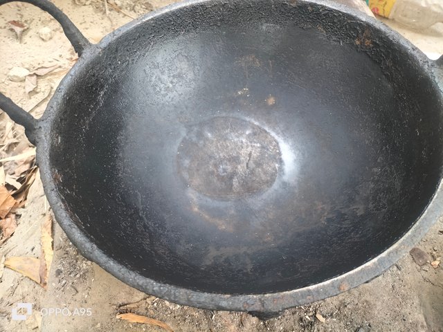 IMG20250501111007.jpg