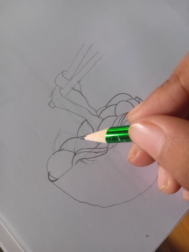 1000045439.jpg