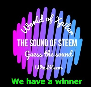 The sound of STEEM logo 1 377 x 362 vi har en vinner.jpg