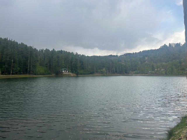 IMG_3379.jpeg