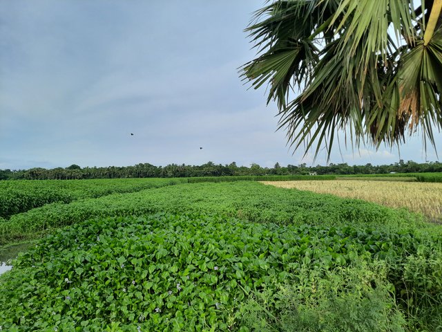 20250530_162236.jpg