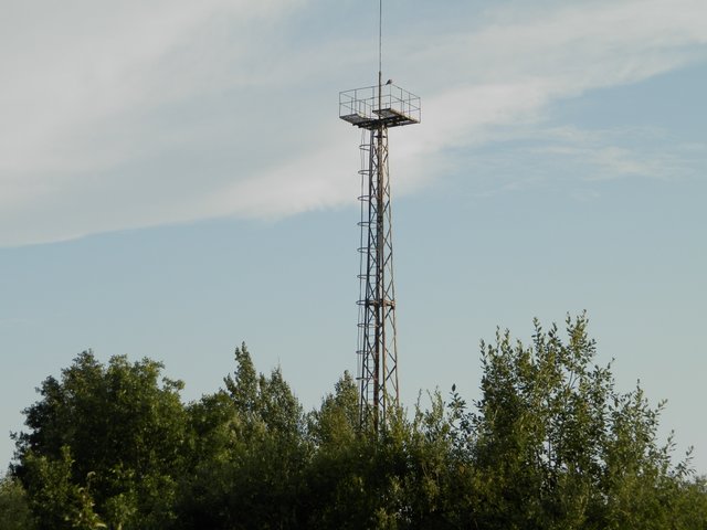 Antenna.JPG