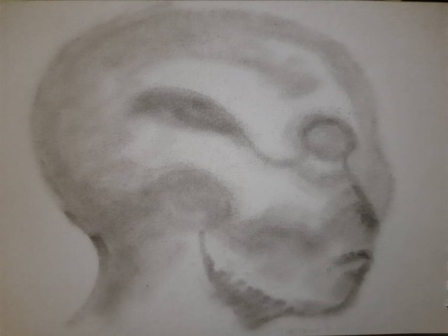 20250808_102609.jpg