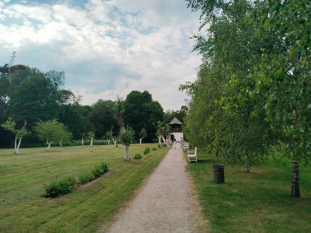 IMG_20250706_171356.jpg