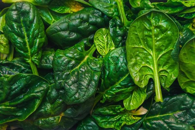 many-freshly-cut-large-dark-green-spinach-leaves-close-up-food-background-174415597.jpg