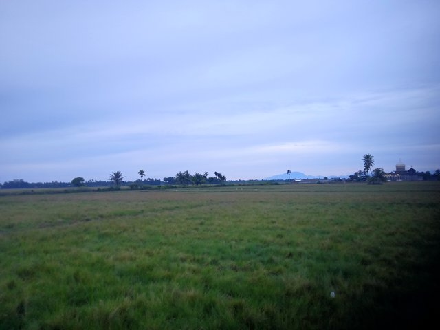 IMG20250824063022.jpg