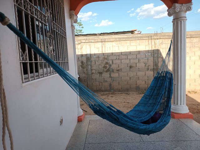 20250414_170149.jpg