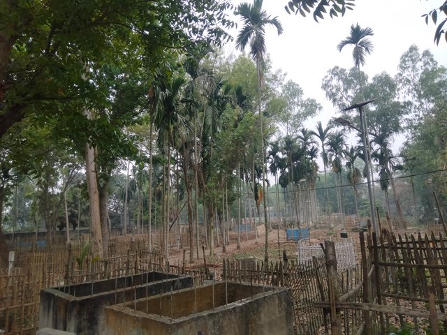 IMG20250320132644.jpg