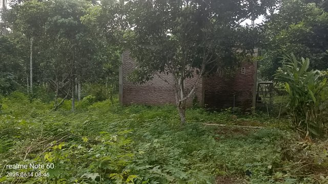 IMG_20250614_084606.jpg