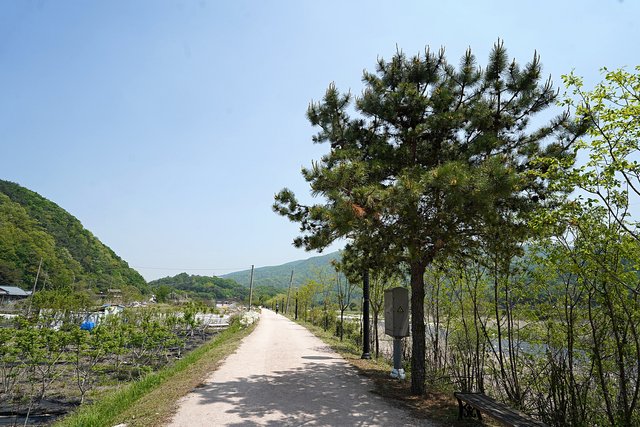 b-DSC01082.JPG