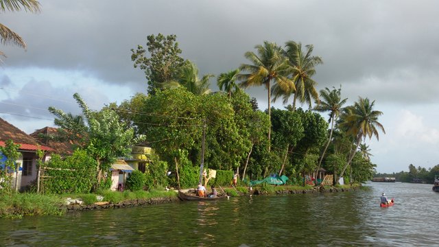 Alleppey_Backwaters_2.jpg