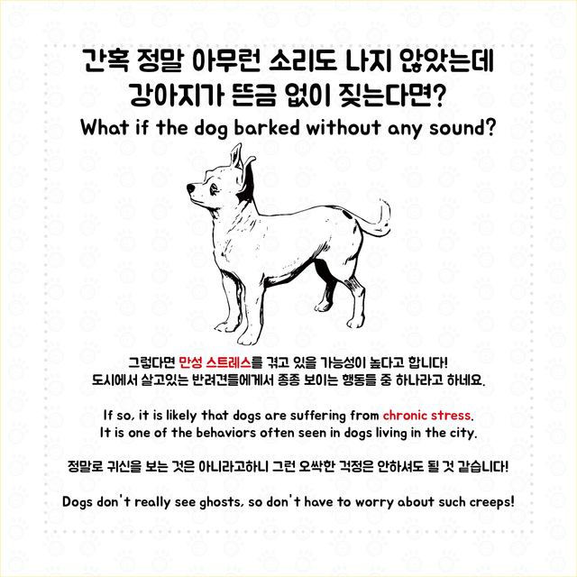 강아지 짖는 이유(영문 포함)3.png