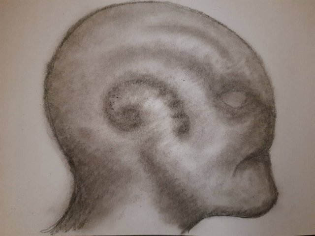 20251005_094638.jpg