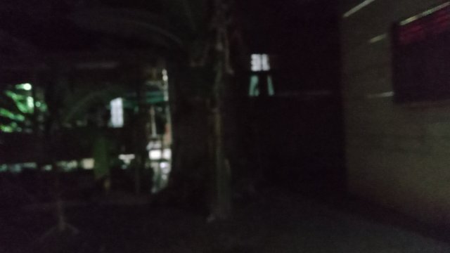 IMG_20241218_214108.jpg