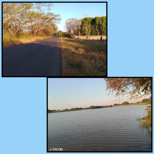 GridArt_20250224_200637610.jpg