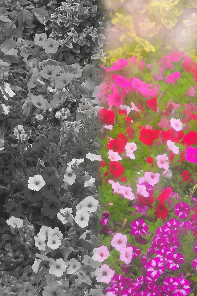 fbf9a5ae-f1b3-4b3d-85b5-de56ea4a184f.png