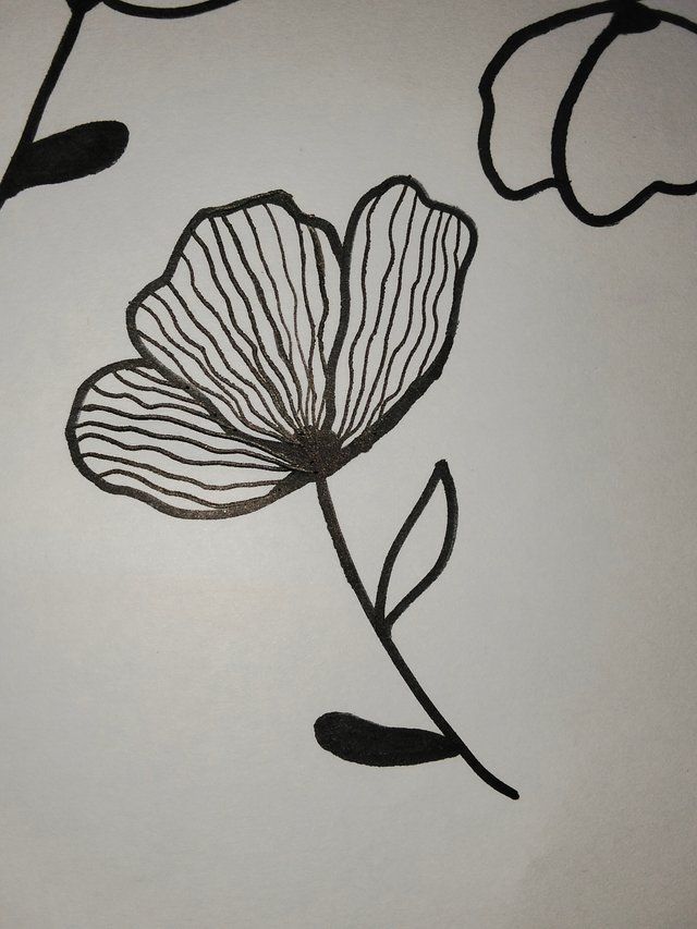 IMG20250720201919.jpg