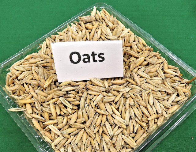 oats-968980_1280.jpg