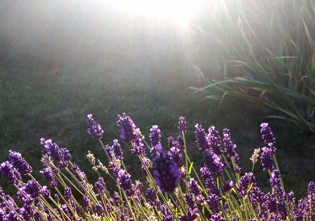 20250715_012540.jpg