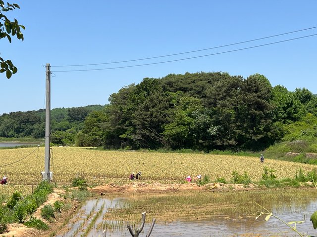 IMG_2882.jpeg