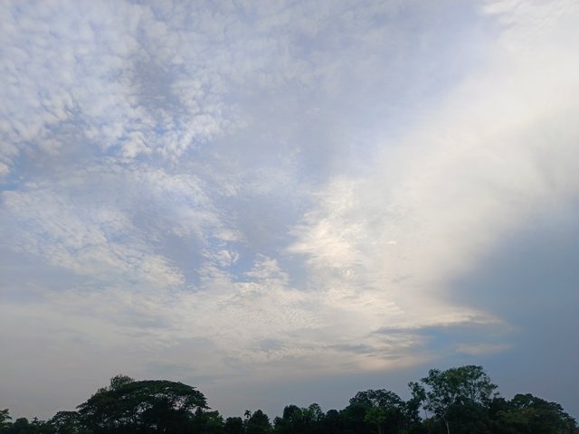 1000093024.jpg
