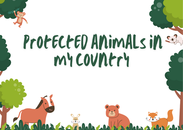 Green Animal Illustration Happy Birthday Card .png