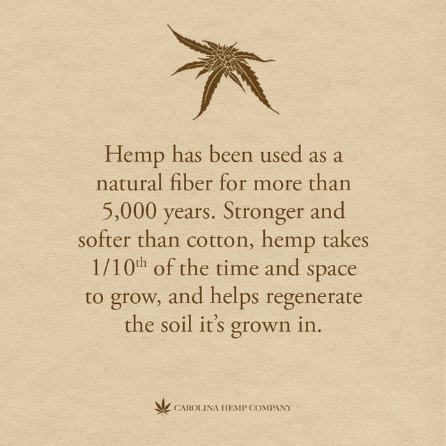 Hemp Paper 2.jpg